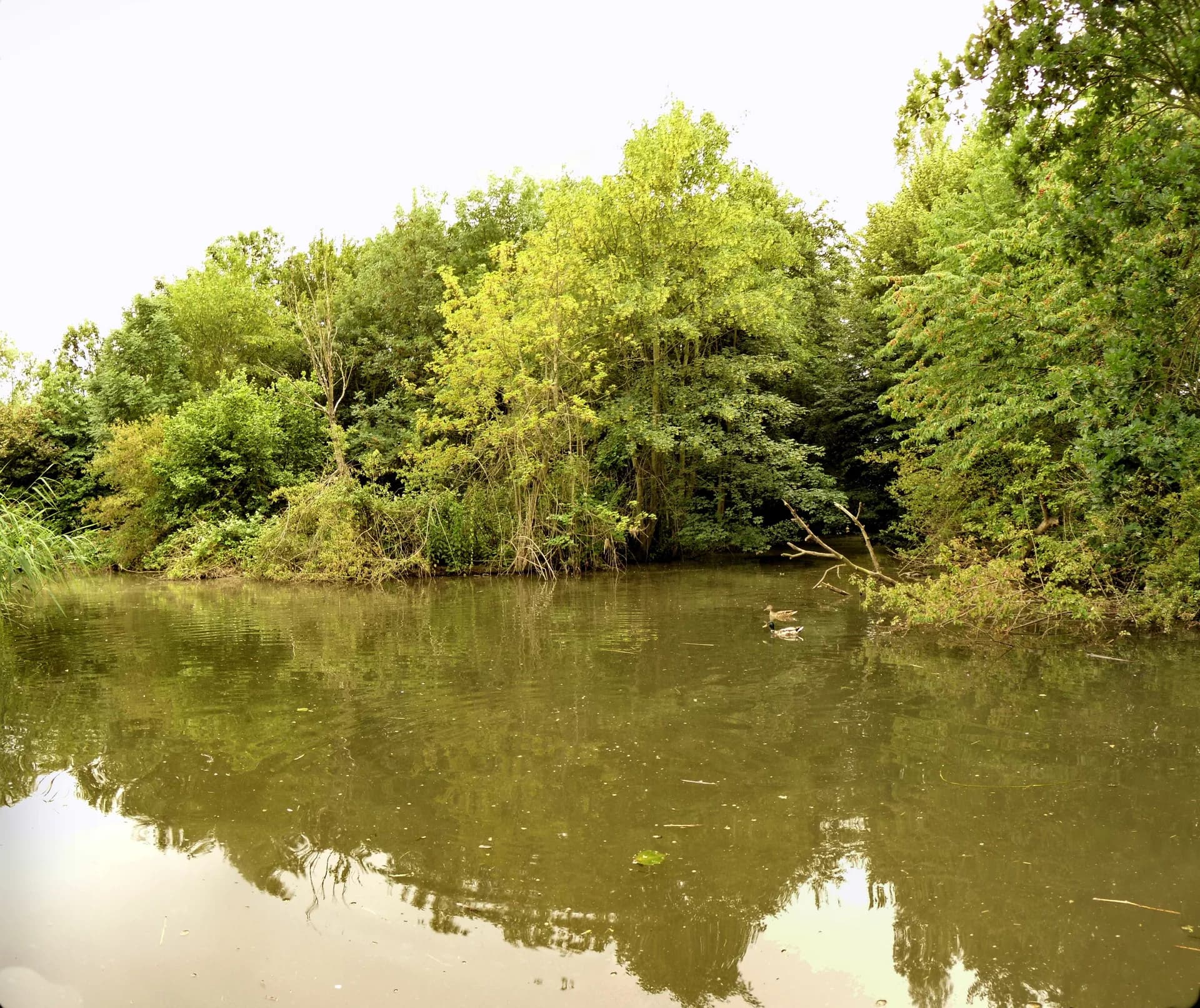 Hattersheim am Main