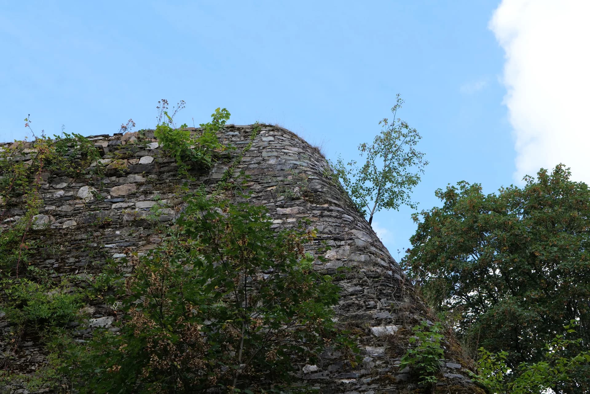 Burgruine Königstein im Taunus