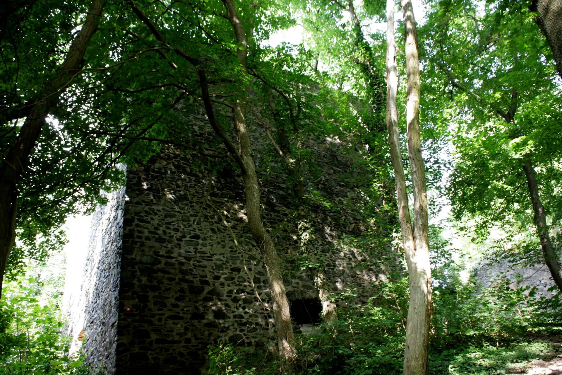 Burg Frankenstein in Mühltal