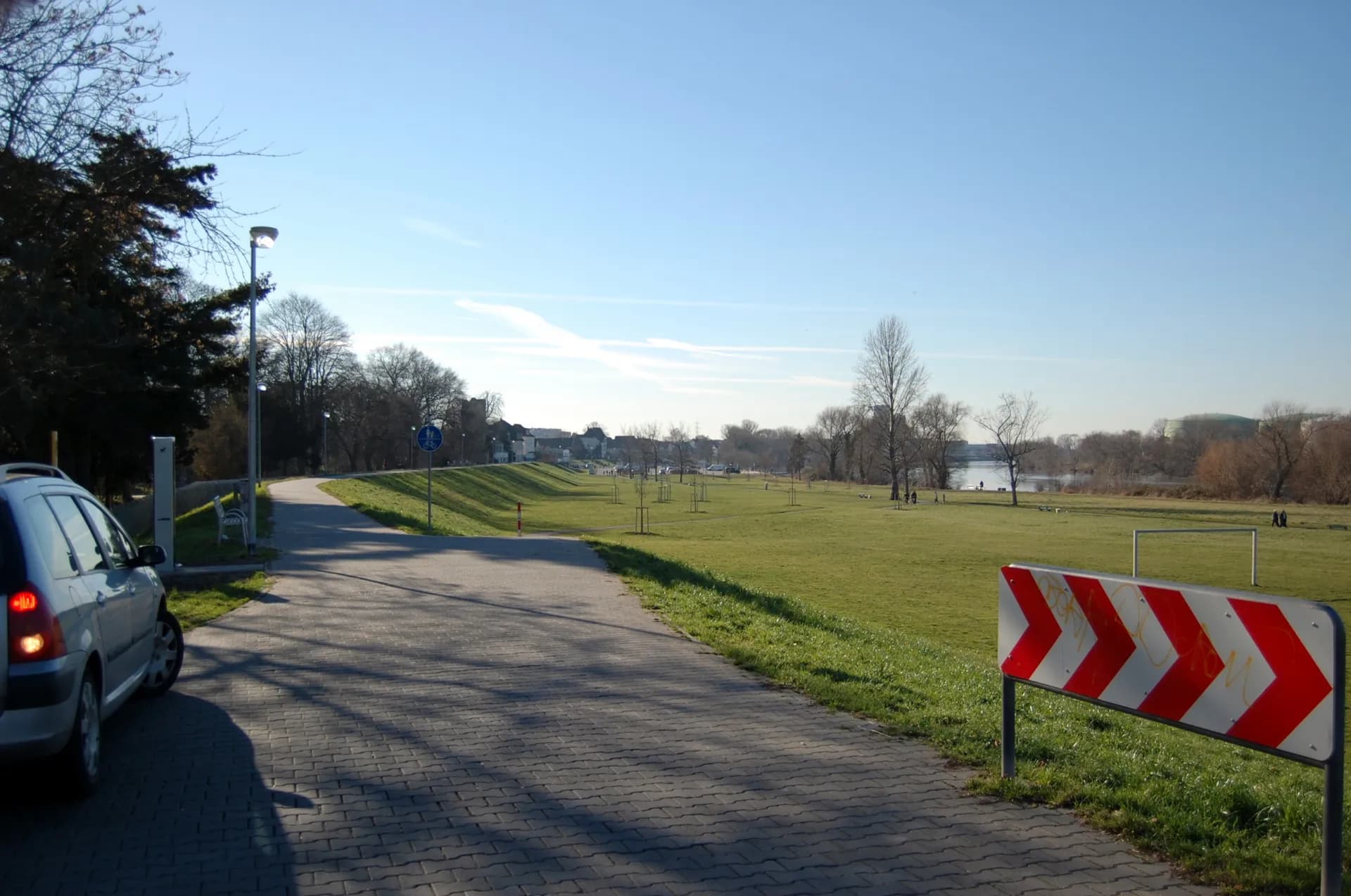 Mainwiesen bei Rüsselsheim am Main